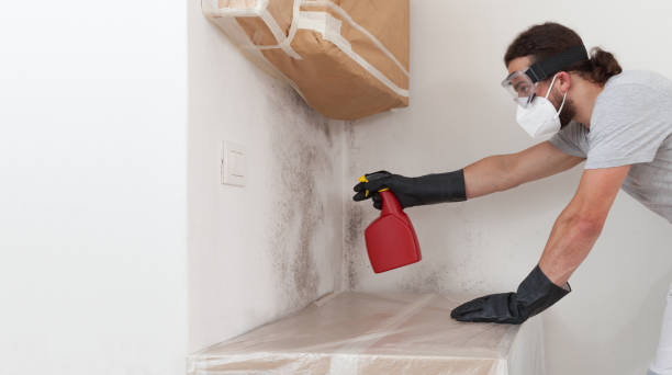 Professional Mold Remediation technician working in Elgin, TX